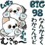 シーズー犬 98『・・・』