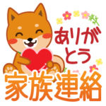 柴犬「ムサシ」２６　家族連絡用