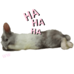 トトロコレクション