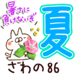 専用86<夏＆天気>