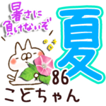 専用86<夏＆天気>