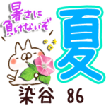 専用86<夏＆天気>
