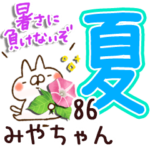 専用86<夏＆天気>