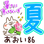 専用86<夏＆天気>