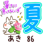 専用86<夏＆天気>