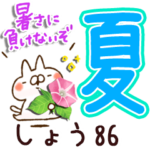 専用86<夏＆天気>
