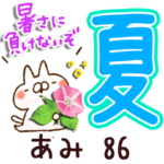 専用86<夏＆天気>