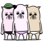 3匹の豚姉さん
