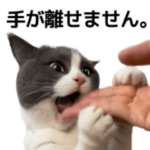 毎日使える☆もふもふ猫スタンプ2