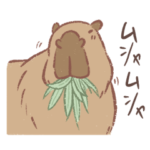 かわいいカピバラたち