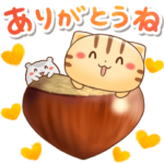 秋だね♪ネコちゃん ハムちゃん