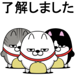 動く 三匹の擦れねこ14