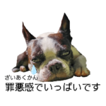 発達障害★当事者の気持ち