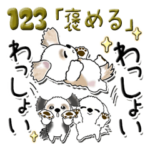 シーズー犬 123『褒めましょ』