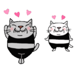 Junsの元気で楽しいシニア猫