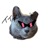 どうも、不二子です