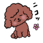 プードルさんとクマさんの日常2