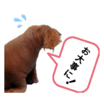 お大事スタンプ