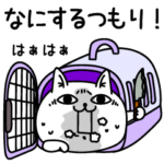 じろりねこ引きこもりニート