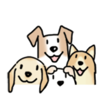 晴れ犬＿犬だらけ