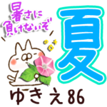 専用86<夏＆天気>
