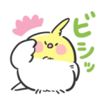 癒しのほっこりインコ＊かわいい