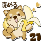 ちゃちゃ丸 21『褒めましょう』