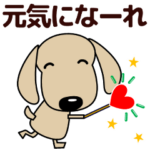 敬語 大人の優しい気づかい ダックスフンド