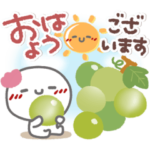 はーい！白玉です8❤挨拶