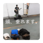 限界大学生じゃなくて、小学生の延長戦ね