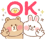 毎日動く♪ふんわり可愛いブラウン＆コニー