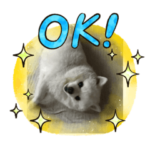 小学生がかわいいと思うこと