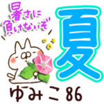 専用86<夏＆天気>