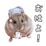 こんぺいマーチ あいさつ