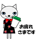 おしゃれ好きな猫 ネコ好きのあなたへ