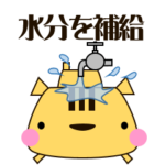 やっぱりリスが好き！のあなたへ 夏