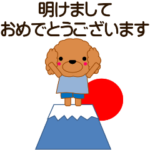 犬が大好きなあなたへ クリスマス/お正月