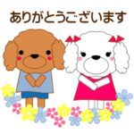 プードルが大好きなあなたへ 敬語&プランク