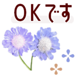 ▶︎動くよ！花の敬語＊肌寒い季節の気遣い