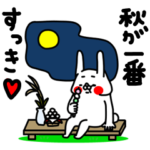 全力うさぎ小さい秋見つけた編