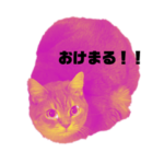 るるちいの日常（オシャレカラーVer.）