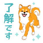 愛しのわんこ～柴犬～