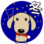 ダックスフンド 年賀/クリスマス等も 冬