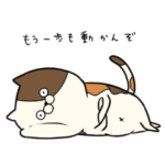 ぢっと見てくる