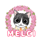 EMBAUMER×プロヴァンスに暮らす猫たち