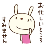 お仕事連絡☆てるてるうさぎ