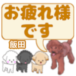 飯田「いいだ」さんのトイプードル会話