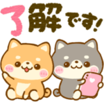 豆柴日和♡大人かわいい