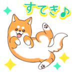 毎日かわいい柴わんこ