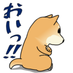 おいっ‼柴犬ショーヘイ
